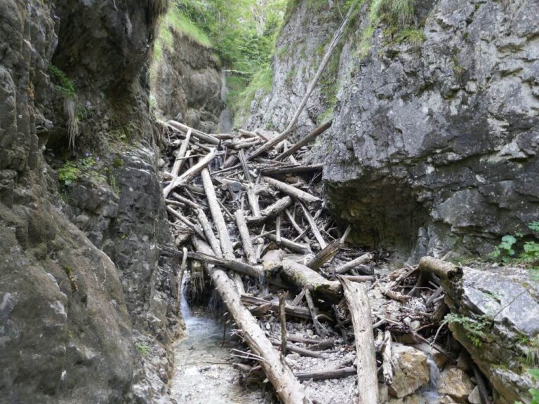 Slovak Paradise national park- Via Ferrata Kyseľ - barricade from the fallen trees