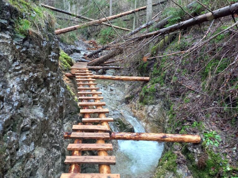 Slovak Paradise national park - Suchá Belá gorge - horizontal wooden ladders